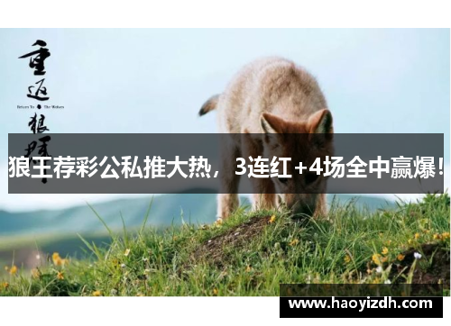 狼王荐彩公私推大热,3连红+4场全中赢爆!